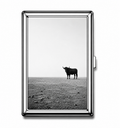 Bull By It's Horns Metal Wallet
